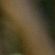 Imagem de Adelino Martins