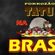 Imagem de FORROZÃO TATÚ NA BRASA
