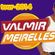 Imagem de VALMIR MEIRELLES