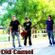 Imagem de Old Camel