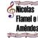 Imagem de The Nicolas Flamel