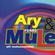 Imagem de ARY & FORRÓ MULEKE