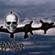 Imagem de Hangar - BH