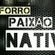 Imagem de BANDA PAIXÃO NATIVA