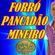 Imagem de Forró Pancadão Mineiro