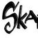 Imagem de SKAPT