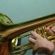 Imagem de Trombone em Louvor vol. 3