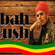 Imagem de Zabah Bush
