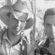 Imagem de DavidSouza&Gustavo