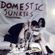 Imagem de Domestic Junkies
