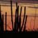 Imagem de Arkmed´s Nascimento