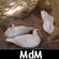 Imagem de mdm