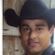 Imagem de Marron Sertanejo