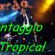 Imagem de BANDA E ORQUESTRA CONTAGGIO TROPICAL