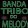 Imagem de Banda Tribo do Melody
