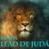 Imagem de Leao de Judah