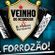 Imagem de Veinho do Acordeon & Os Meninos Forrozeiros