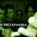 Imagem de A Metáphora