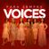 Imagem de Grupo Voices