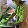 Imagem de DJ GIBA