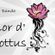 Imagem de Flor d' Lottus