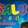 Imagem de Maluco do Forró 2016