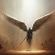 Imagem de The Angel's Fight