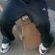 Imagem de MC_Dodo