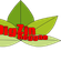Imagem de DigZin Reggae