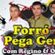 Imagem de Forró Pega Geral