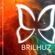 Imagem de Brilhuz