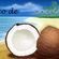 Imagem de bagaço de coco