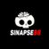 Imagem de Sinapse88