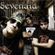 Imagem de Sevenaid