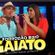 Imagem de Bixo Gaiato