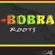 Imagem de Kbobra roots