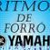 Imagem de Robertinho Ritmos