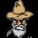 Imagem de HILLBILLY Country Band