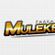 Imagem de Farra Dos Mulekes