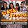 Imagem de BANDA GATA SARADA