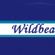 Imagem de Wildbeat