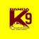 Imagem de Banda k-9 A Inovação Do Eletro Batidão
