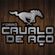 Imagem de Forró Cavalo de Aço