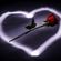 Imagem de FORRÓ  MY LOVE