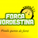 Imagem de Força Nordestina