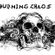 Imagem de Burning Chaos