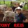 Imagem de Tony Reis