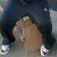 MC_Dodo