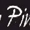 PAULO PIN