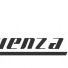 Influenza